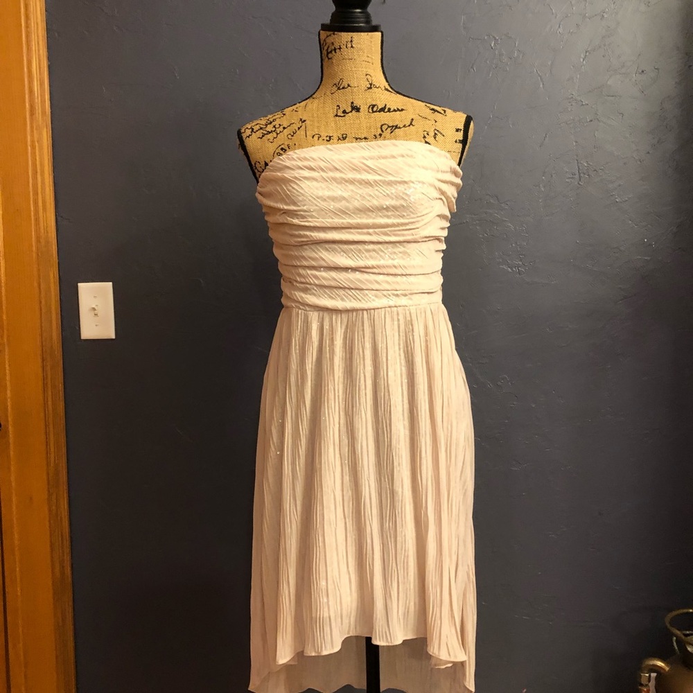 Express Dress Size 8 NWOT